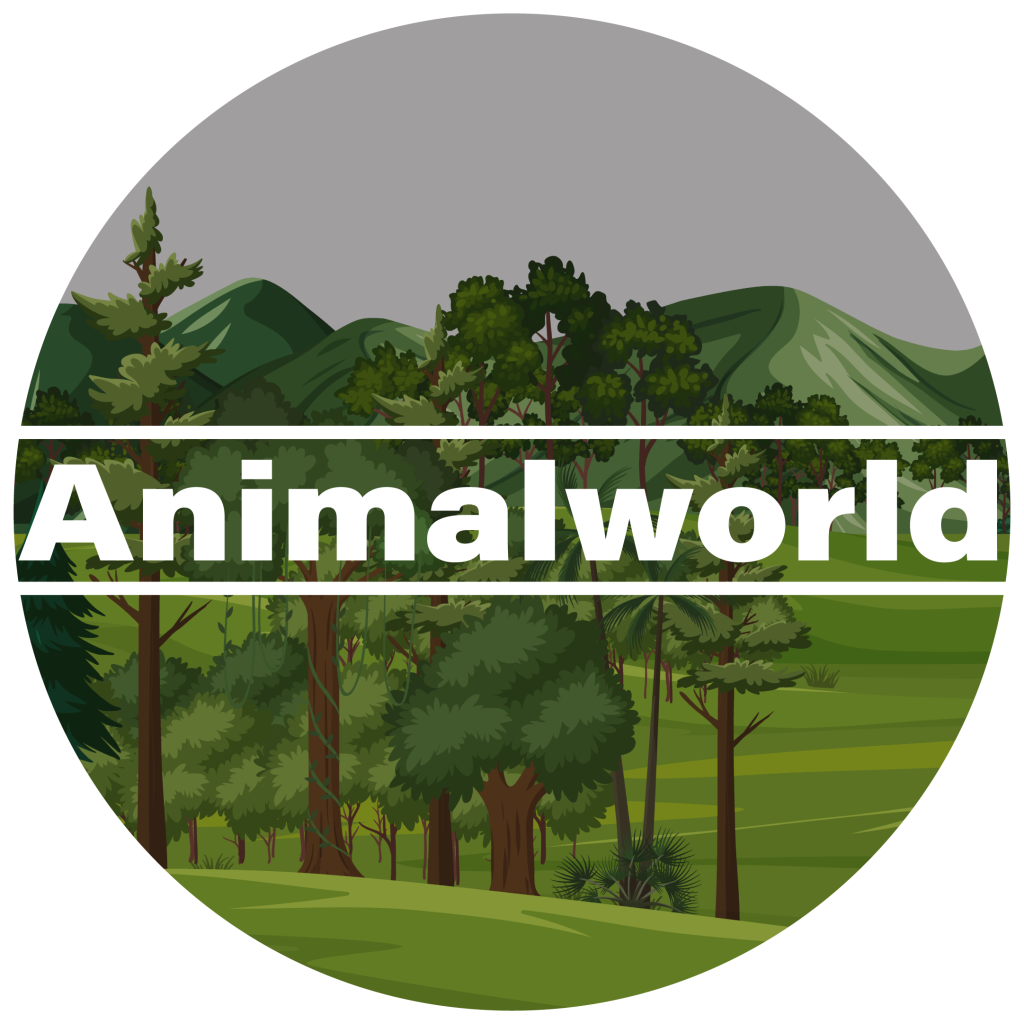 Animal - Animalworld